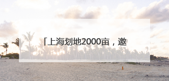 上海划地2000亩，邀腾讯小米共探“养老科技蓝海”，背后商机几何