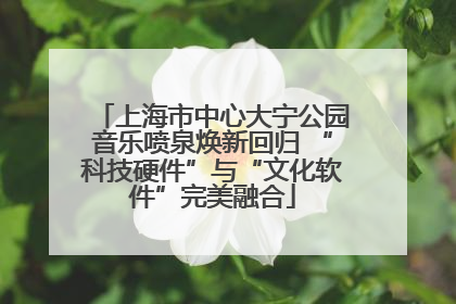 上海市中心大宁公园音乐喷泉焕新回归 “科技硬件”与“文化软件”完美融合