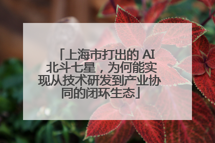 上海市打出的 AI 北斗七星，为何能实现从技术研发到产业协同的闭环生态