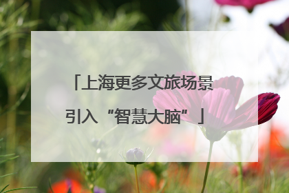 上海更多文旅场景引入“智慧大脑”