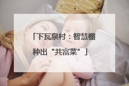 下瓦泉村：智慧棚种出“共富菜”