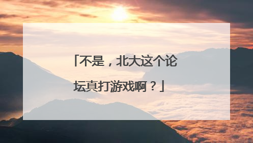 不是，北大这个论坛真打游戏啊？