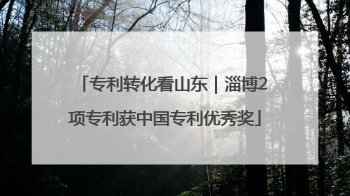 专利转化看山东｜淄博2项专利获中国专利优秀奖