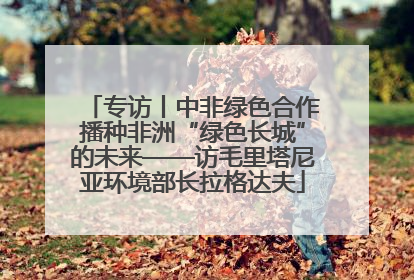 专访丨中非绿色合作播种非洲“绿色长城”的未来——访毛里塔尼亚环境部长拉格达夫
