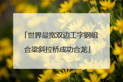 世界最宽双边工字钢组合梁斜拉桥成功合龙