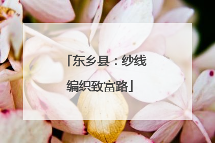 东乡县：纱线编织致富路