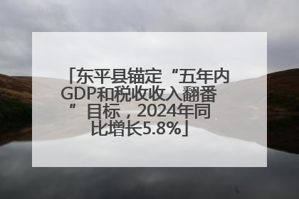 东平县锚定“五年内GDP和税收收入翻番”目标，2024年同比增长5.8%
