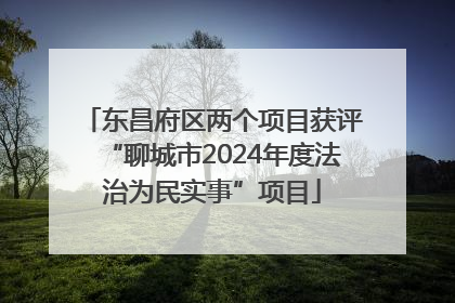 东昌府区两个项目获评“聊城市2024年度法治为民实事”项目