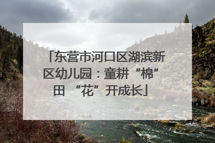 东营市河口区湖滨新区幼儿园：童耕“棉”田 “花”开成长