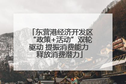 东营港经济开发区“政策+活动”双轮驱动 提振消费能力 释放消费潜力