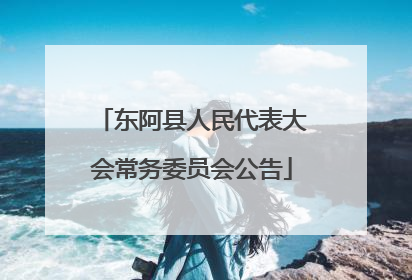 东阿县人民代表大会常务委员会公告