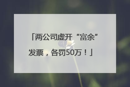 两公司虚开“富余”发票，各罚50万！