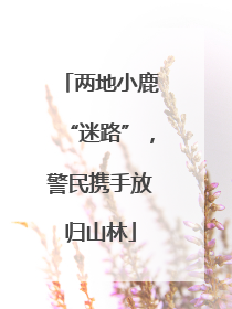 两地小鹿“迷路”，警民携手放归山林
