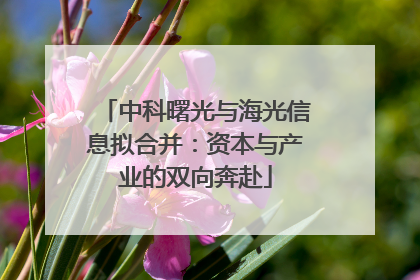 中科曙光与海光信息拟合并：资本与产业的双向奔赴