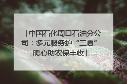 中国石化周口石油分公司：多元服务护“三夏” 暖心助农保丰收