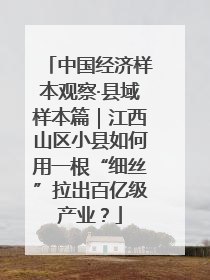 中国经济样本观察·县域样本篇｜江西山区小县如何用一根“细丝”拉出百亿级产业？