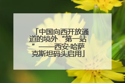 中国向西开放通道的境外“第一站”——西安·哈萨克斯坦码头启用