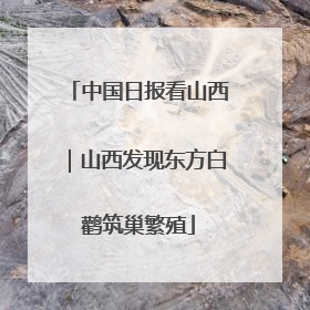 中国日报看山西｜山西发现东方白鹳筑巢繁殖