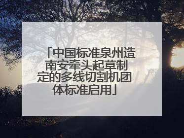 中国标准泉州造 南安牵头起草制定的多线切割机团体标准启用