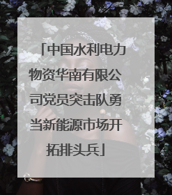 中国水利电力物资华南有限公司党员突击队勇当新能源市场开拓排头兵