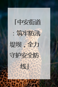 中安街道：筑牢防汛堤坝，全力守护安全防线