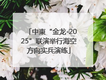中柬“金龙-2025”联演举行海空方向实兵演练