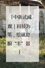 中新武威观｜科技为笔，绘就夏粮“丰”景