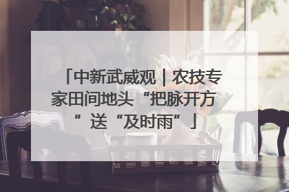 中新武威观｜农技专家田间地头“把脉开方”送“及时雨”