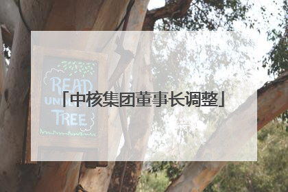 中核集团董事长调整
