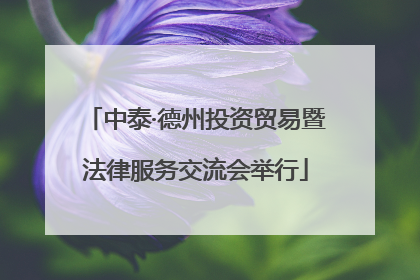 中泰·德州投资贸易暨法律服务交流会举行