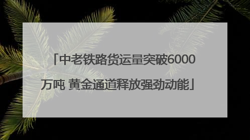 中老铁路货运量突破6000万吨 黄金通道释放强劲动能
