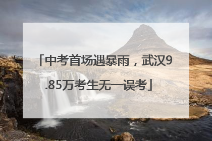 中考首场遇暴雨，武汉9.85万考生无一误考
