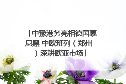 中豫港务亮相德国慕尼黑 中欧班列（郑州）深耕欧亚市场
