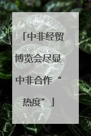 中非经贸博览会尽显中非合作“热度”