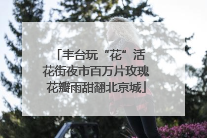 丰台玩“花”活 花街夜市百万片玫瑰花瓣雨甜翻北京城