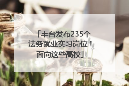 丰台发布235个法务就业实习岗位！面向这些高校