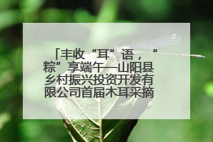 丰收“耳”语，“粽”享端午—山阳县乡村振兴投资开发有限公司首届木耳采摘活动盛大启幕