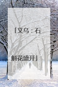 义乌：石斛花盛开