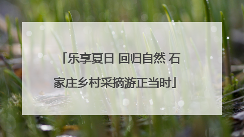 乐享夏日 回归自然 石家庄乡村采摘游正当时