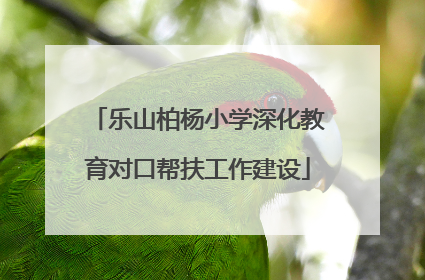 乐山柏杨小学深化教育对口帮扶工作建设