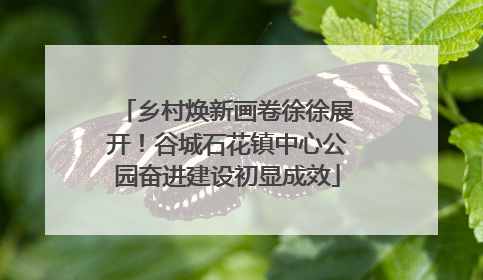 乡村焕新画卷徐徐展开！谷城石花镇中心公园奋进建设初显成效