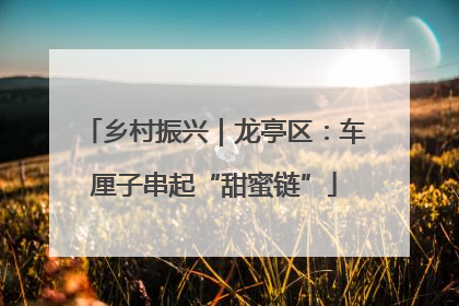 乡村振兴｜龙亭区：车厘子串起“甜蜜链”