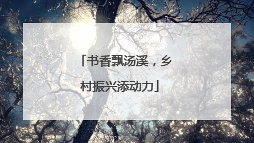 书香飘汤溪，乡村振兴添动力