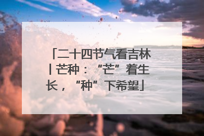 二十四节气看吉林丨芒种：“芒”着生长，“种”下希望