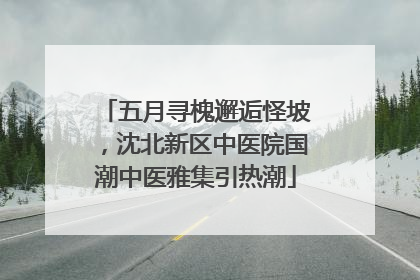 五月寻槐邂逅怪坡，沈北新区中医院国潮中医雅集引热潮