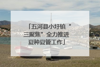 五河县小圩镇“三聚焦”全力推进夏种夏管工作