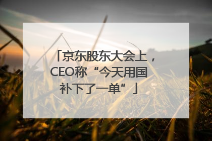 京东股东大会上，CEO称“今天用国补下了一单”