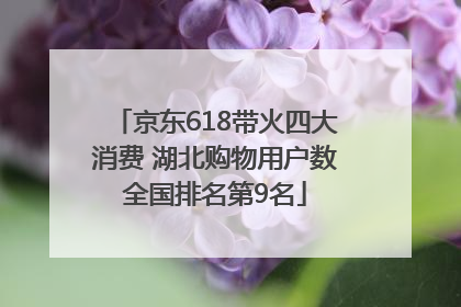 京东618带火四大消费 湖北购物用户数全国排名第9名