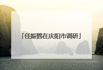 任振鹤在庆阳市调研