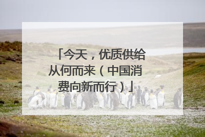 今天，优质供给从何而来（中国消费向新而行）